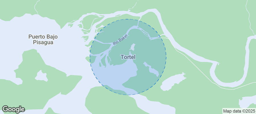Discover Tortel Airbnb Analytics